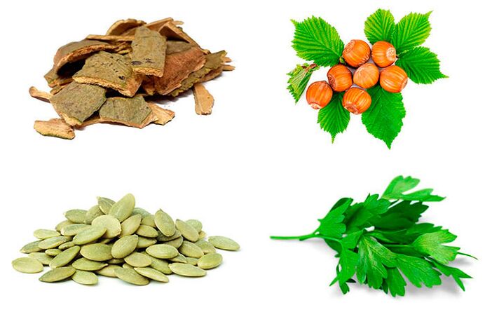 Prostatitle mücadele için halk ilaçları - kavak kabuğu, kabak çekirdeği, maydanoz ve fındık